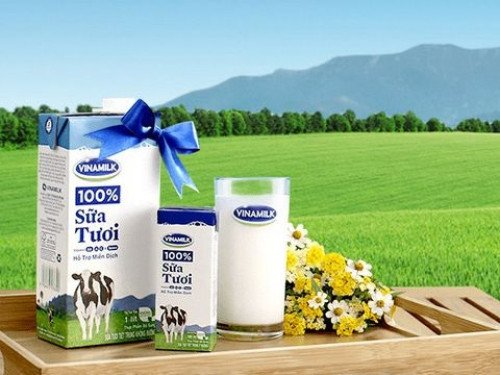 Tiểu luận: Quản Trị Chiến Lược Của Công Ty Sữa VINAMILK | Traloitructuyen.com