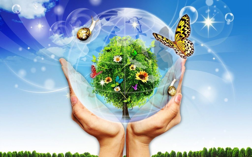 Top 10 bài tiểu luận về ô nhiễm môi trường hay nhất  |Traloitructuyen.com